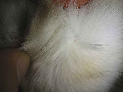 a0095546_21573261.jpg