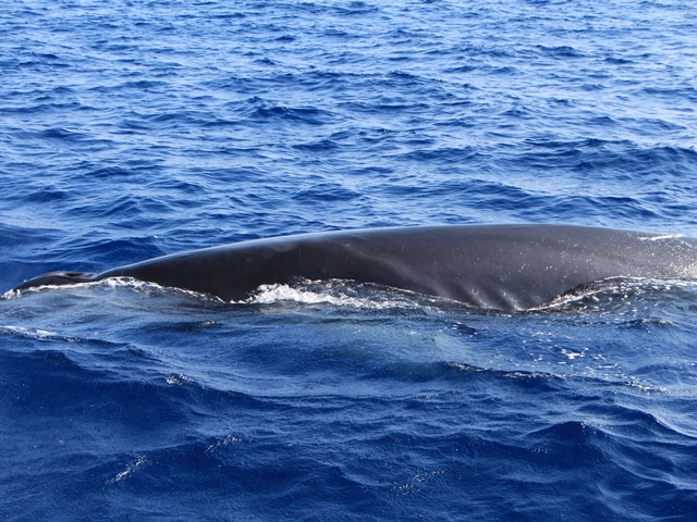 e0017051_101031.jpg