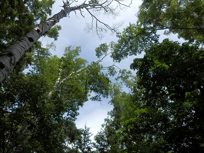 e0004756_20504353.jpg