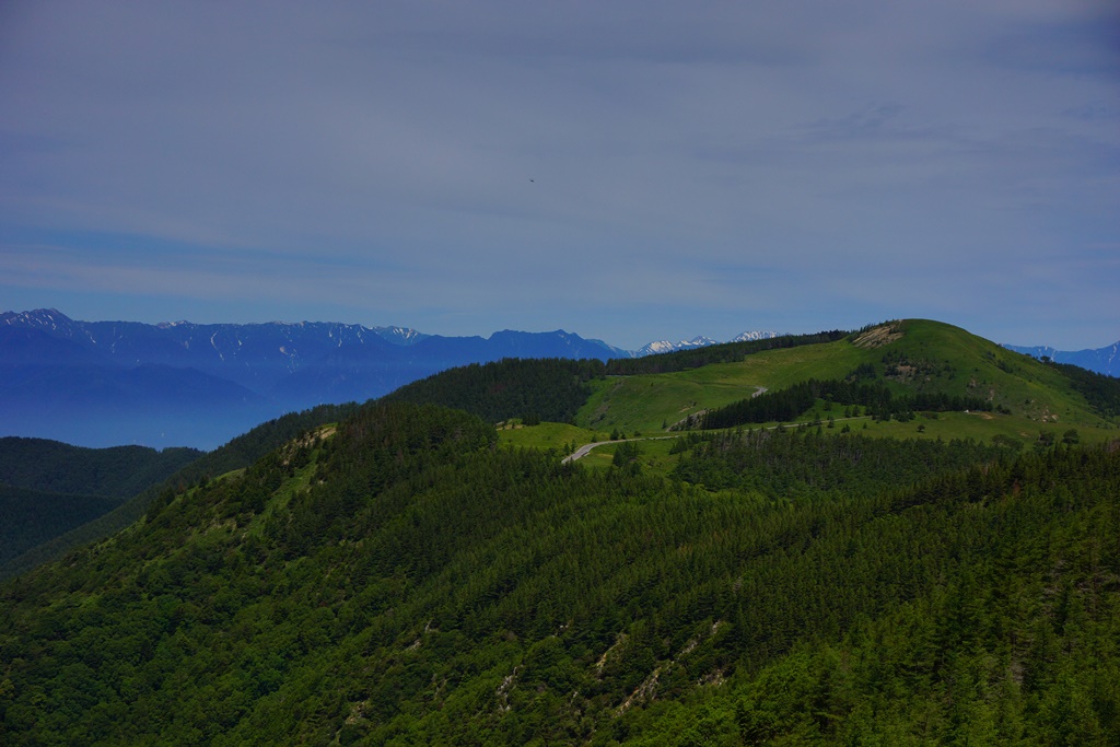 e0223456_1143960.jpg