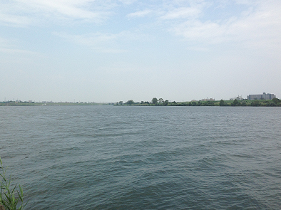 b0177760_2014646.jpg