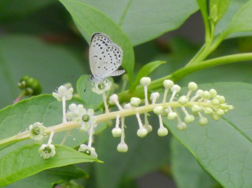 f0297861_2342286.jpg