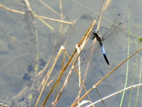 f0297861_23425738.jpg