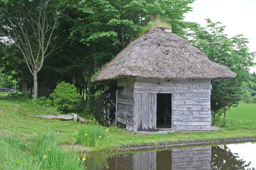 e0006964_9291682.jpg