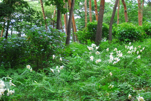 e0151566_942128.jpg
