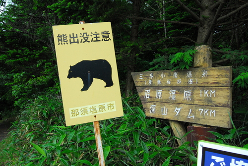 e0151566_9551210.jpg