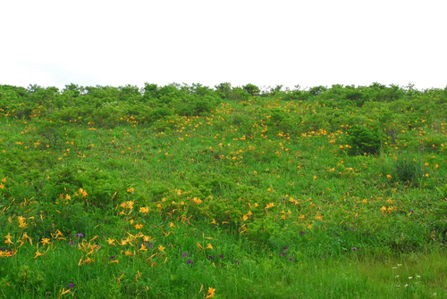 e0151566_95639.jpg