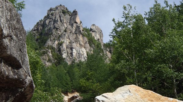 b0050067_22251580.jpg