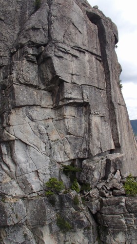 b0050067_22463571.jpg