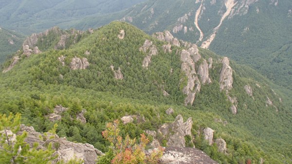 b0050067_231069.jpg