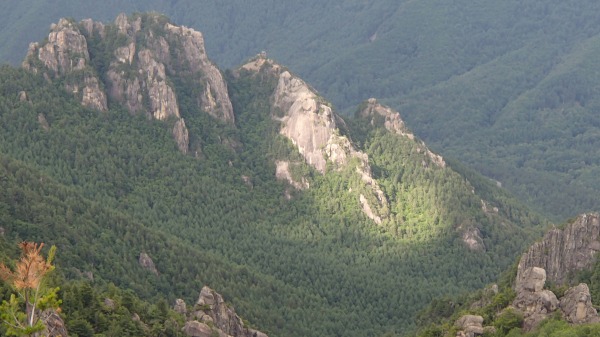 b0050067_2314015.jpg