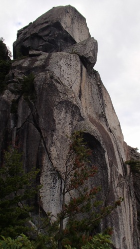 b0050067_23145052.jpg