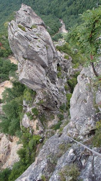 b0050067_236877.jpg