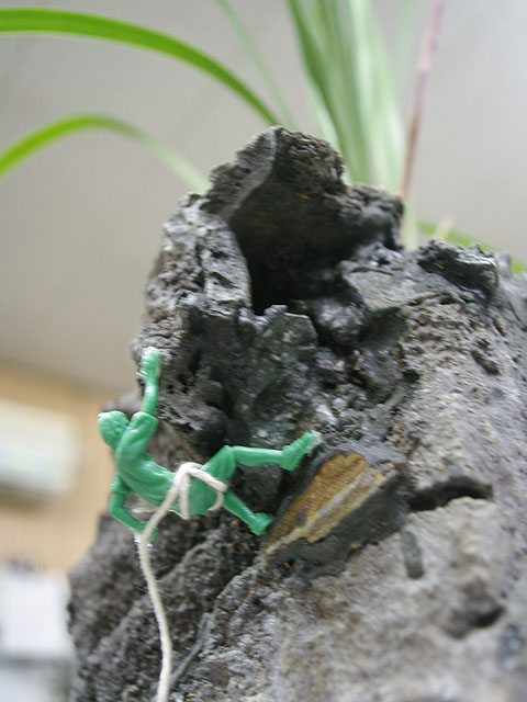 c0068168_21104830.jpg