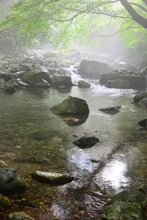 c0303868_15205445.jpg