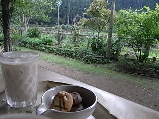 a0146070_5392727.jpg
