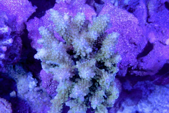 a0161975_13193038.jpg