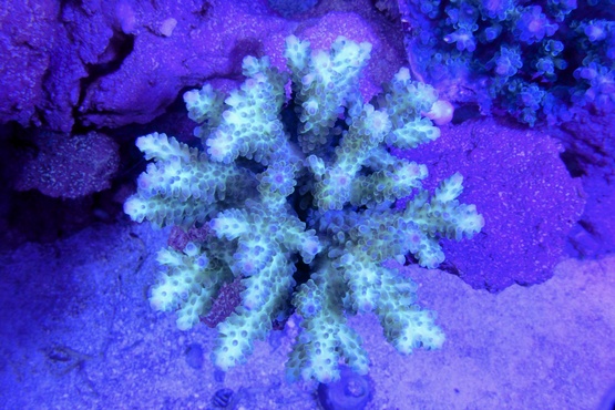 a0161975_13203472.jpg