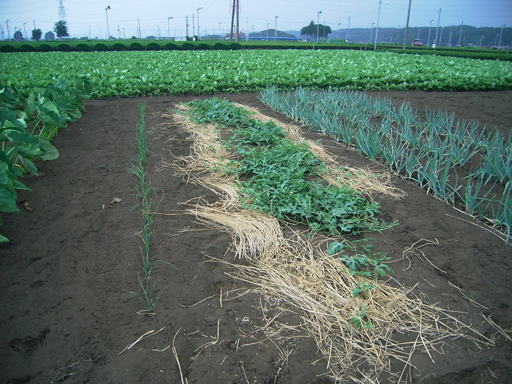d0225575_8263827.jpg