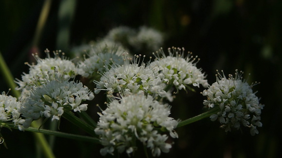 e0024081_156259.jpg