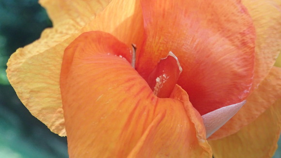 e0024081_1571816.jpg