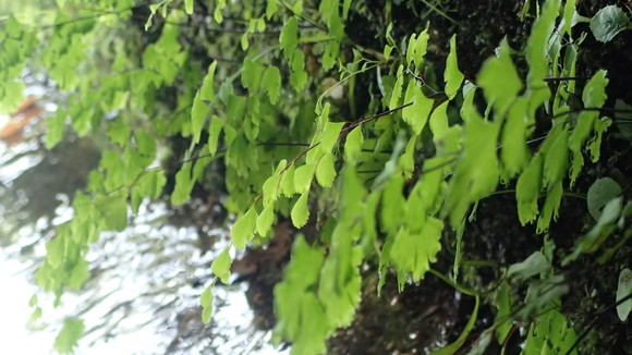 e0024081_1581561.jpg