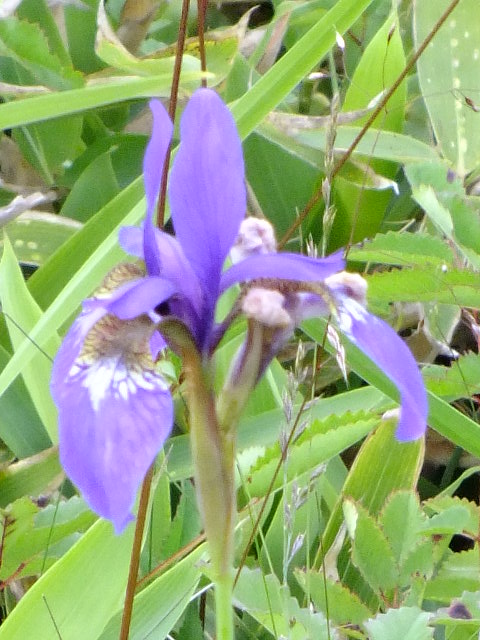 e0145782_195131100.jpg