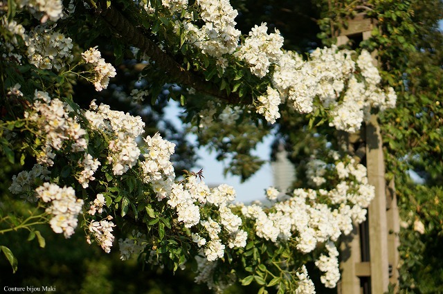 e0043686_22393649.jpg