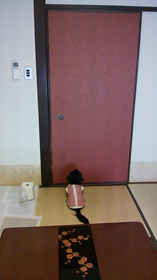 f0287487_9434916.jpg