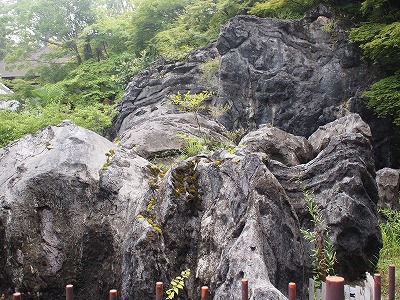 a0152391_1526545.jpg