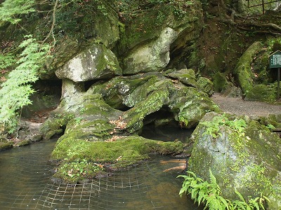 a0152391_157516.jpg