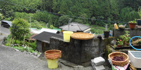 c0122791_1951424.jpg
