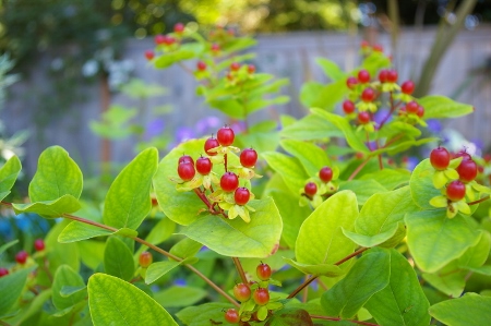 b0283192_8333318.jpg