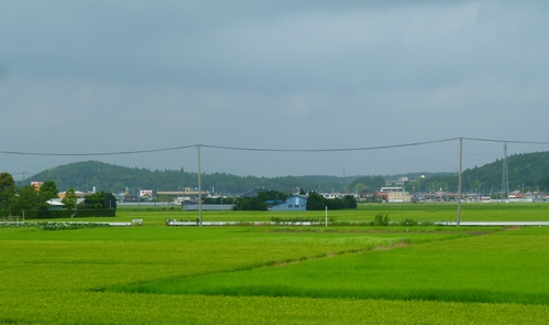 b0146794_1439128.jpg