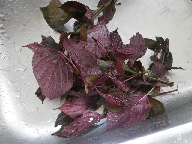 f0130894_22355276.jpg