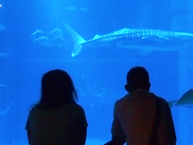 a0188897_17405853.jpg