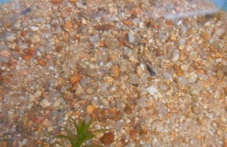 a0236300_12544538.jpg