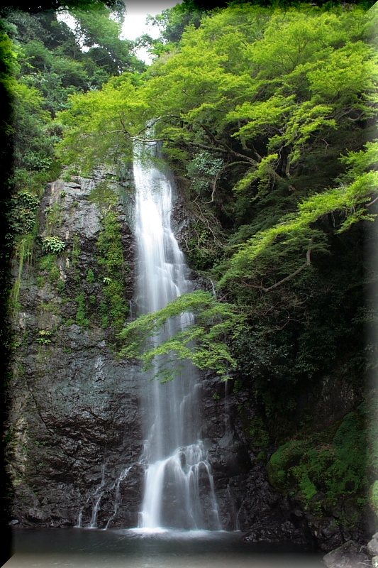 f0083400_20255164.jpg