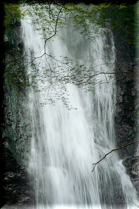 f0083400_20271032.jpg