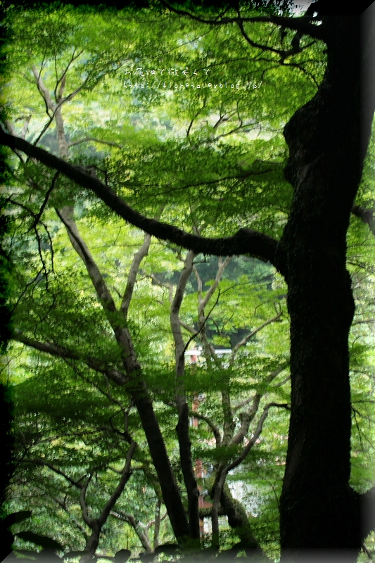 f0083400_2045759.jpg