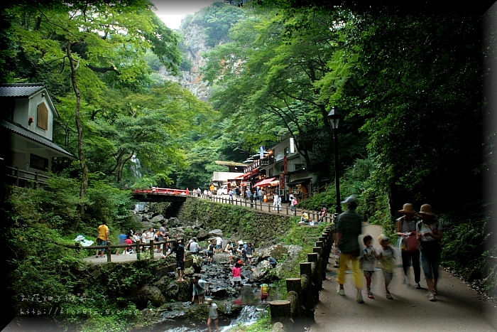 f0083400_20483757.jpg
