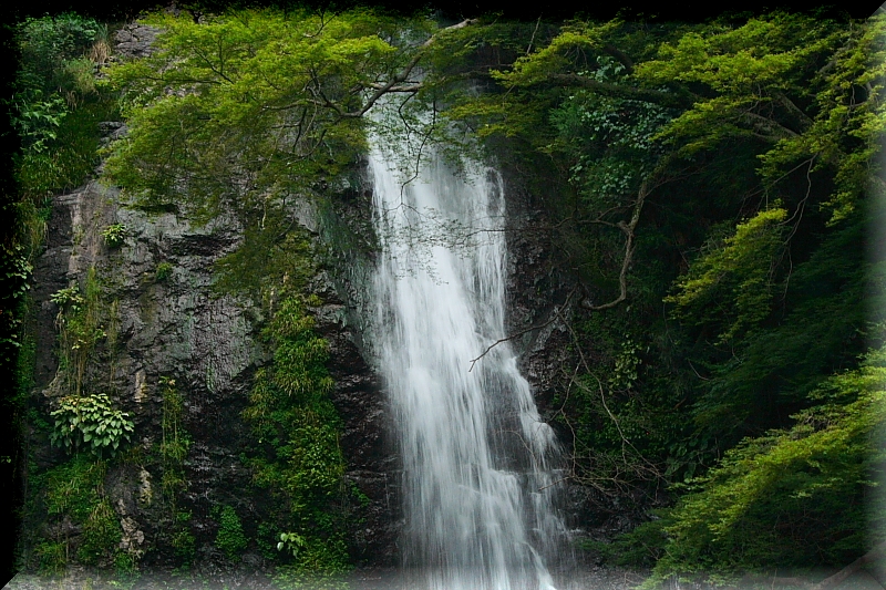 f0083400_20552387.jpg