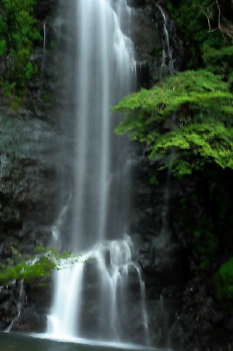 f0083400_2185482.jpg