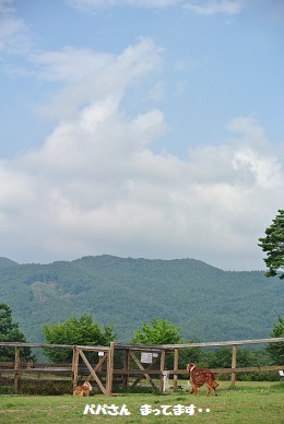 a0134004_1643215.jpg