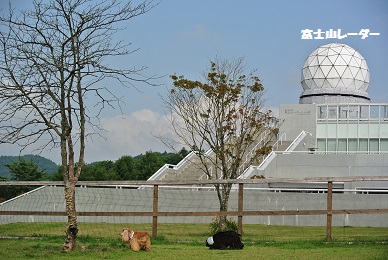 a0134004_16432873.jpg