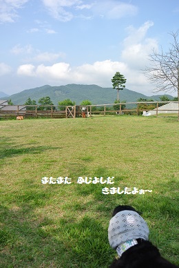 a0134004_1643628.jpg