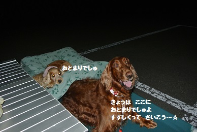 a0134004_16532540.jpg