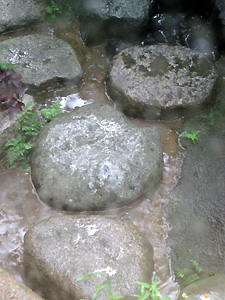 a0177205_16592889.jpg