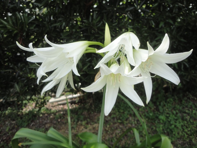 f0231709_110081.jpg