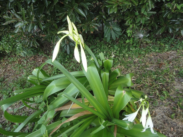 f0231709_114036.jpg
